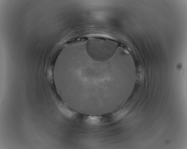 X0000090860573200707271231