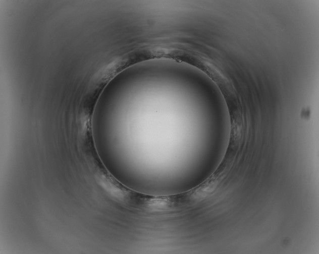 X0000090860574200707271231
