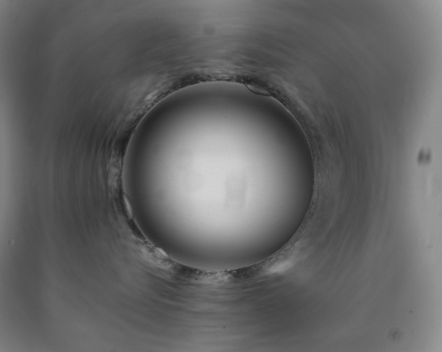 X0000090860576200707271231