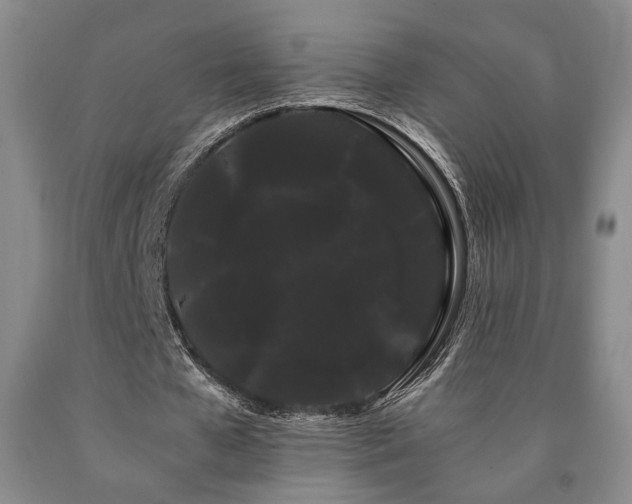 X0000090860577200707271230