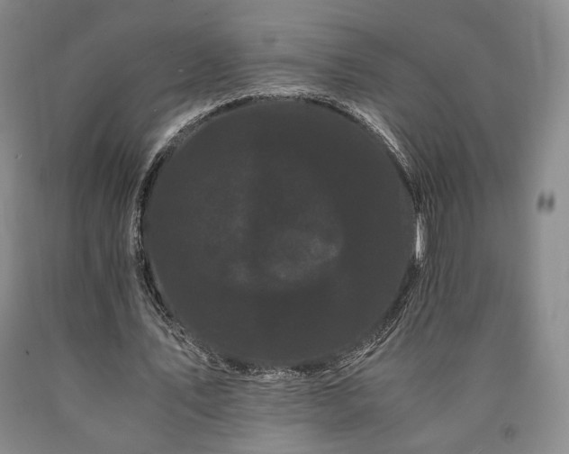X0000090860579200707271230