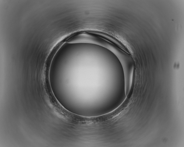 X0000090860580200707271230