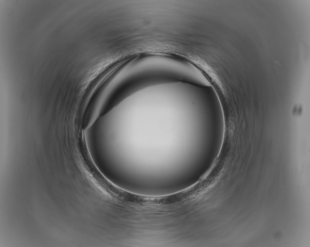 X0000090860581200707271230