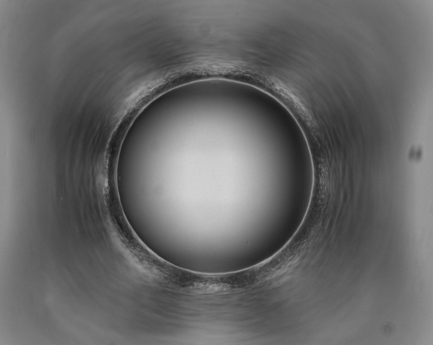 X0000090860582200707271230