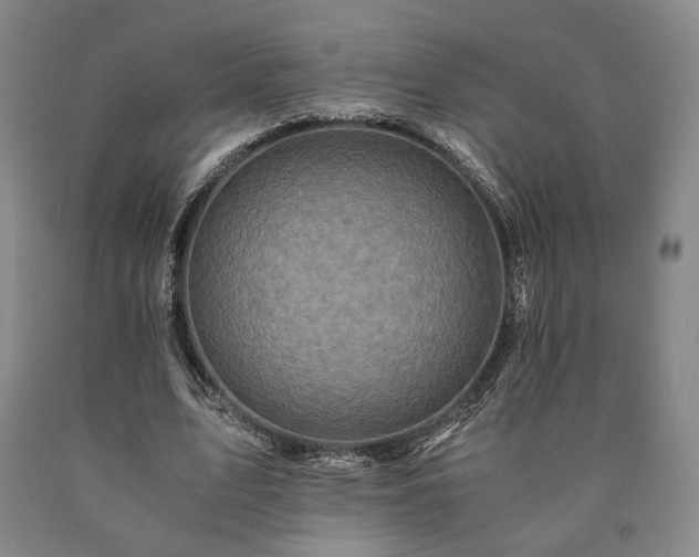 X0000090860583200707271230