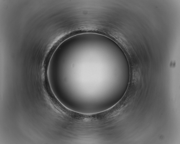 X0000090860584200707271230