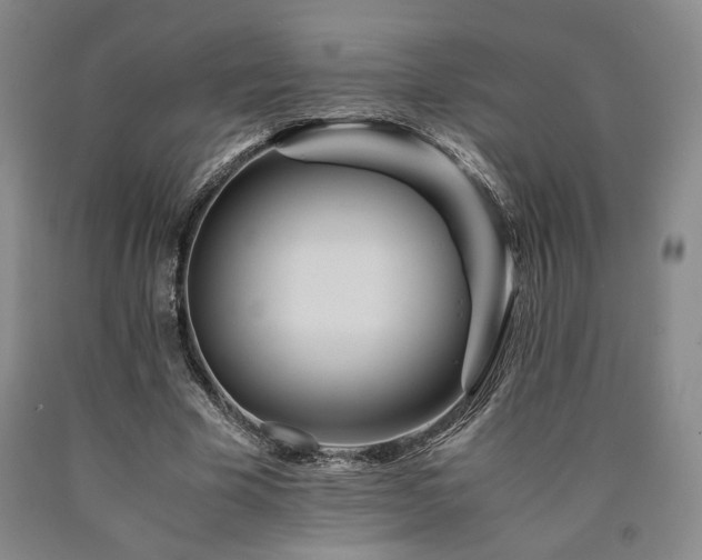 X0000090860585200707271230