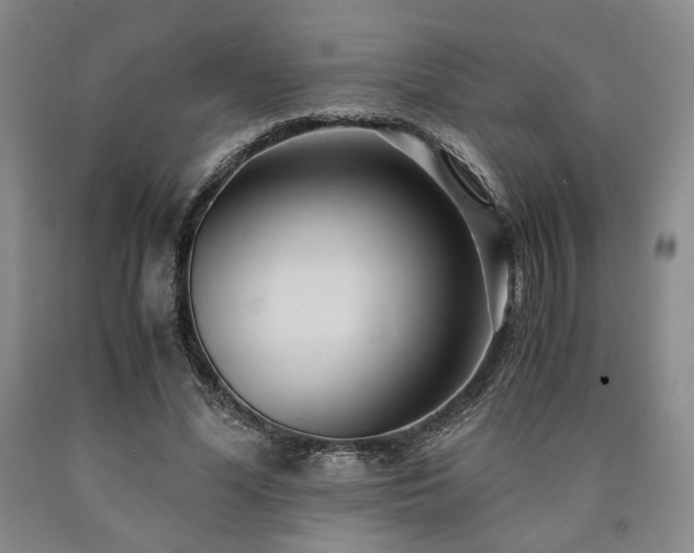 X0000090860588200707271230