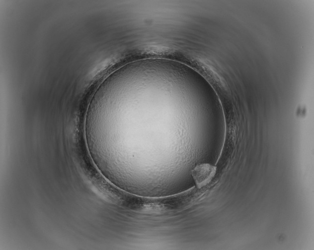 X0000090860591200707271230