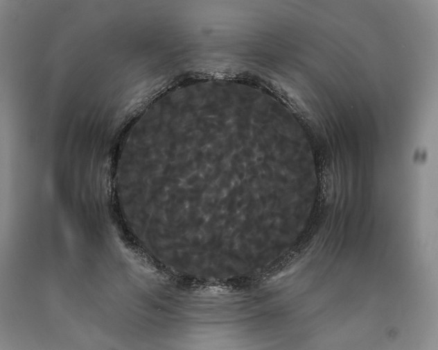 X0000090860594200707271230
