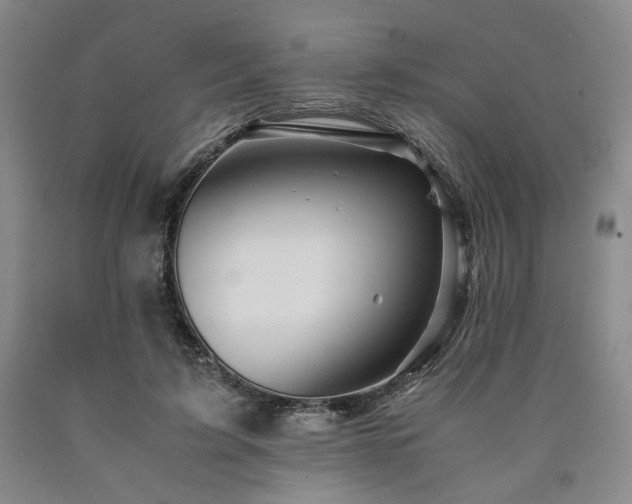 X0000090860595200707271230