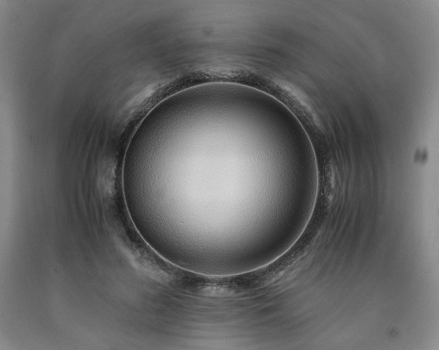 X0000090860596200707271230