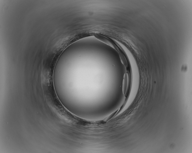 X0000090860597200707271230