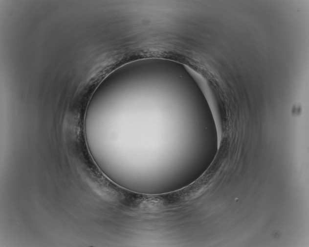 X0000090860599200707271230