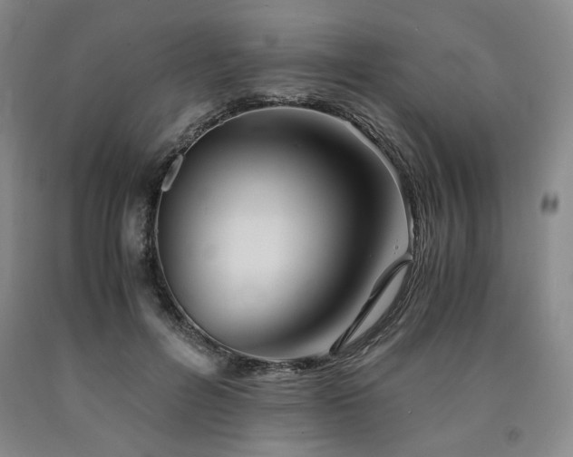 X0000090860600200707271230