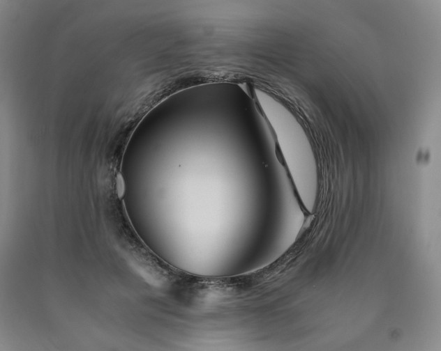 X0000090860601200707271230