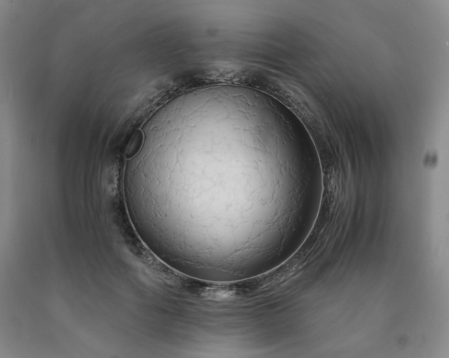X0000090860602200707271230