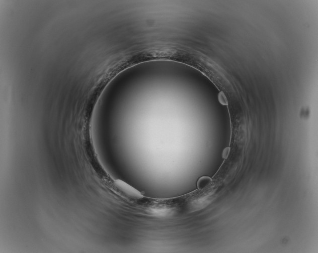 X0000090860604200707271230