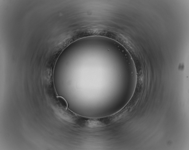 X0000090860605200707271230
