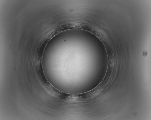 X0000090860607200707271230