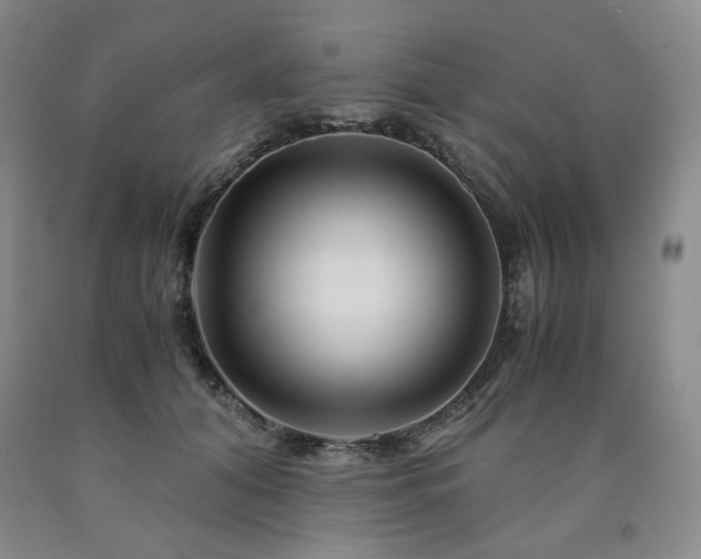 X0000090860608200707271230