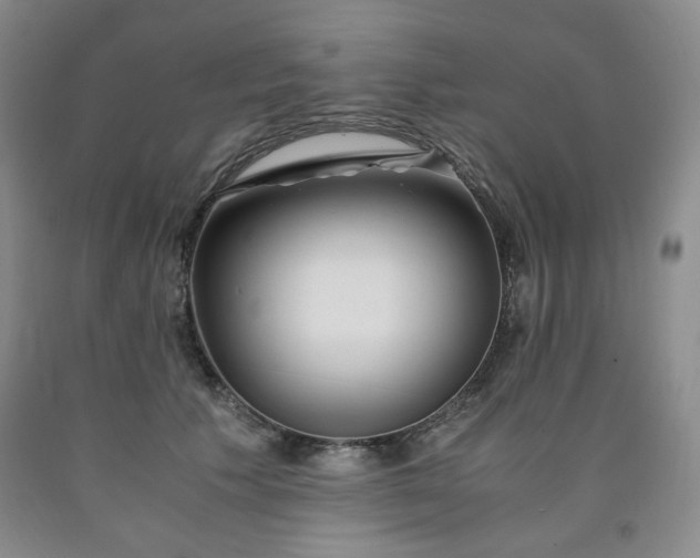 X0000090860609200707271230
