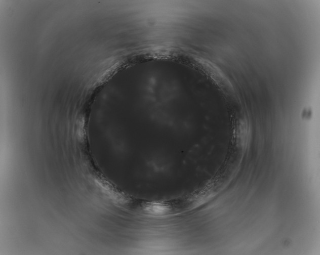 X0000090860610200707271230