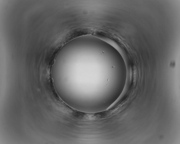 X0000090860613200707271230