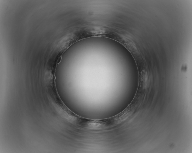 X0000090860614200707271230