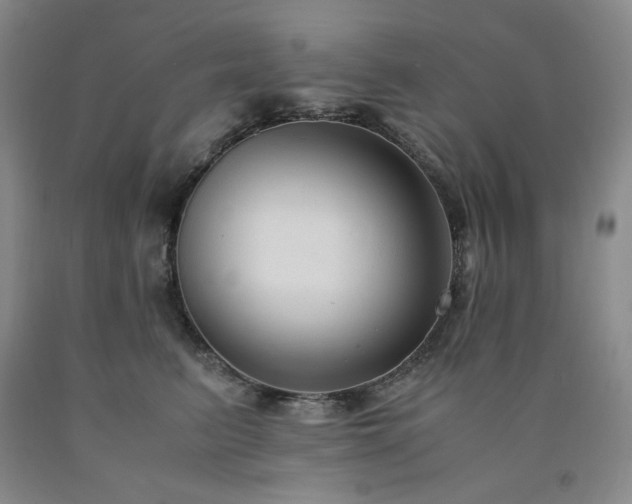 X0000090860615200707271230