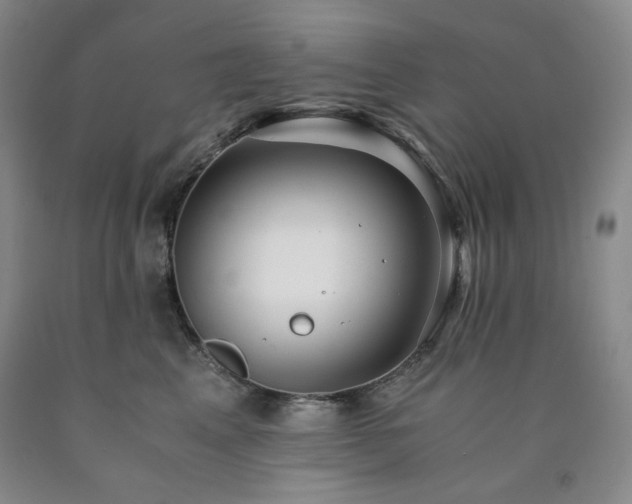 X0000090860617200707271230