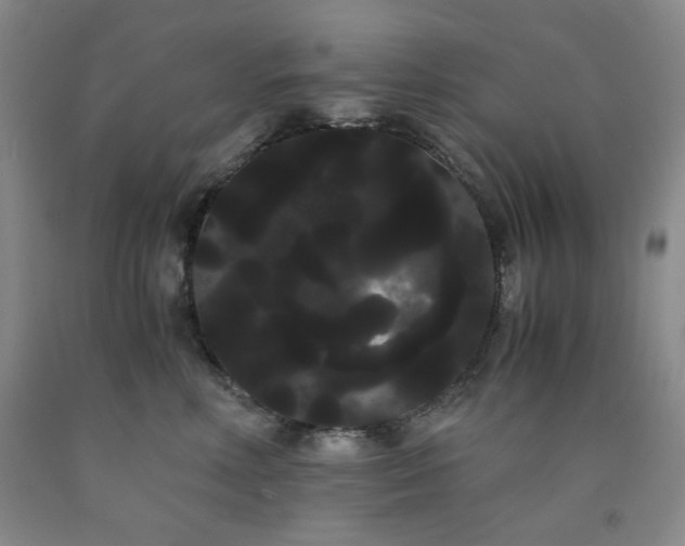 X0000090860618200707271230