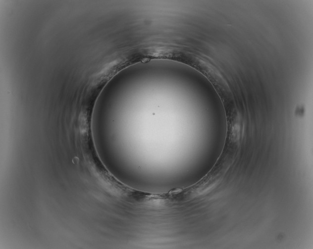 X0000090860620200707271230