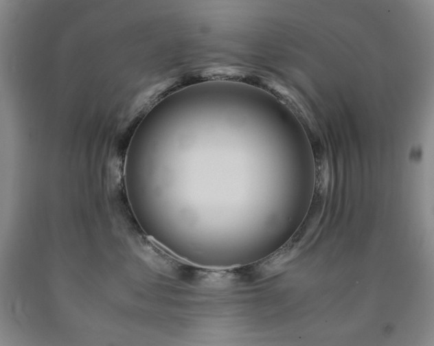 X0000090860621200707271230