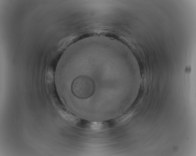 X0000090860623200707271230