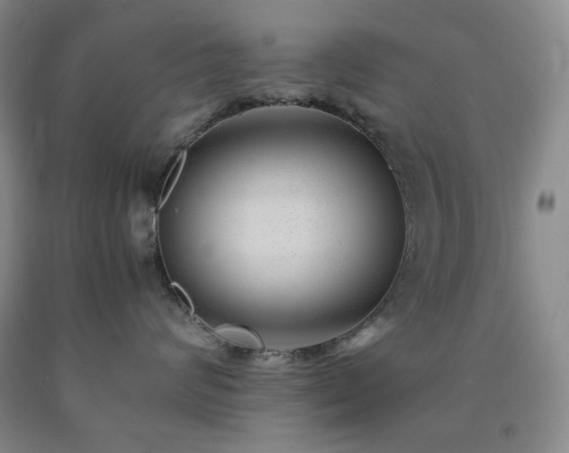 X0000090860624200707271230