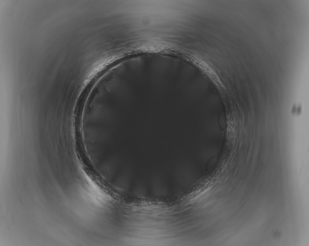 X0000090860626200707271229
