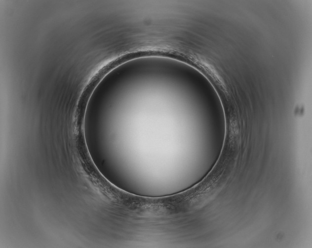 X0000090860628200707271229