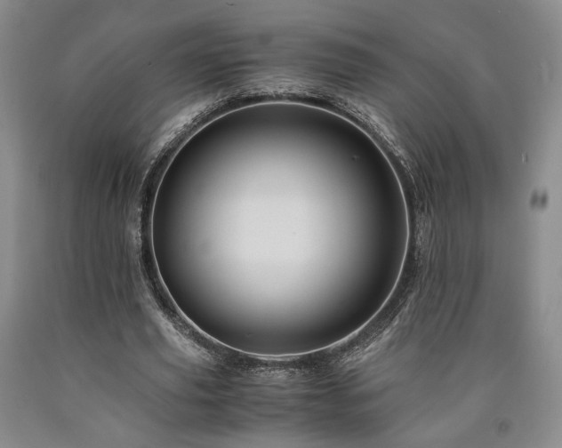 X0000090860629200707271229