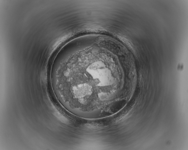 X0000090860630200707271229