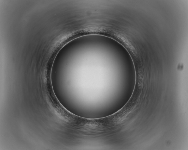 X0000090860631200707271229