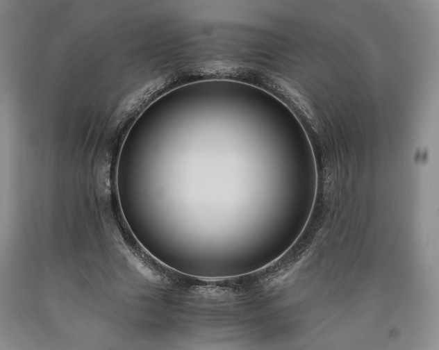 X0000090860633200707271229