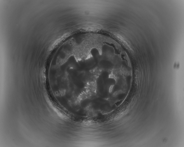 X0000090860634200707271229