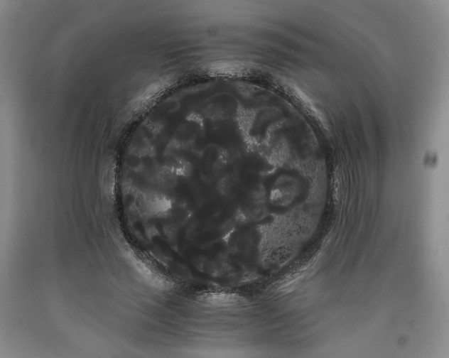 X0000090860637200707271229