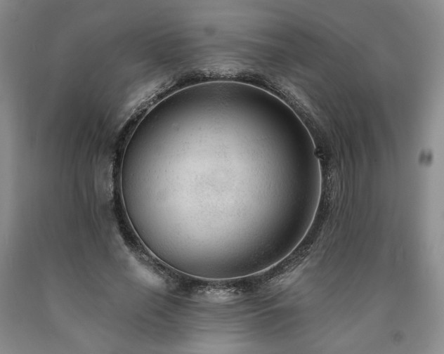 X0000090860638200707271229
