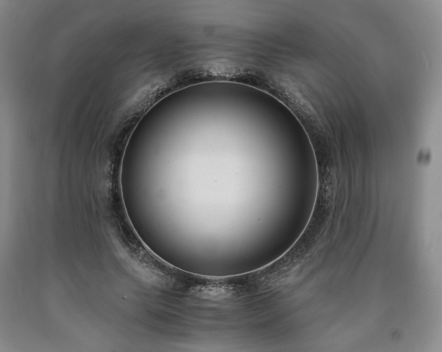 X0000090860639200707271229