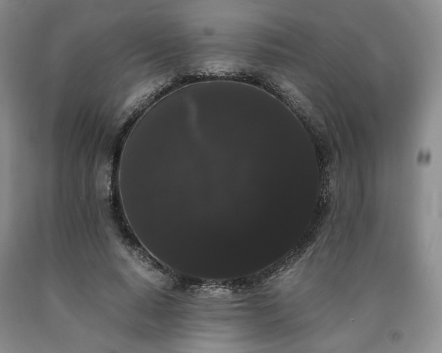 X0000090860640200707271229