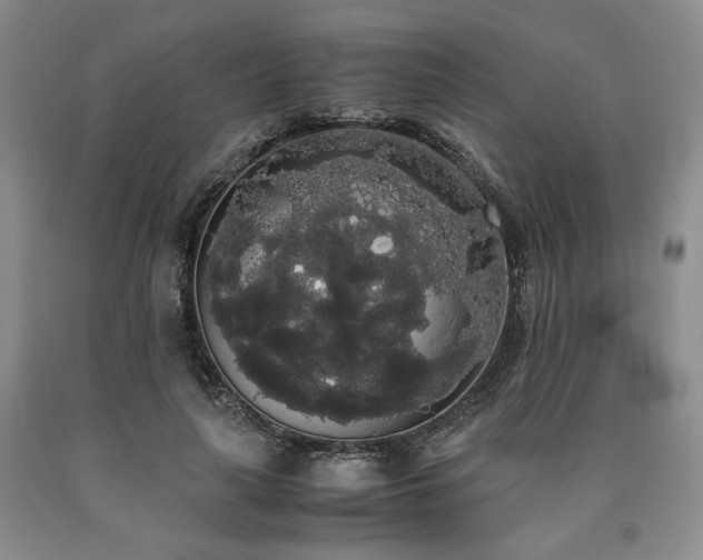 X0000090860643200707271229