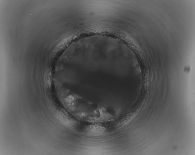 X0000090860644200707271229