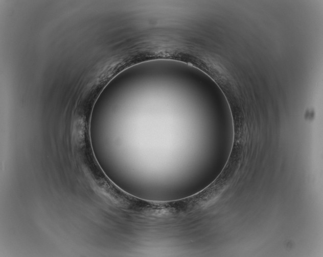 X0000090860646200707271229